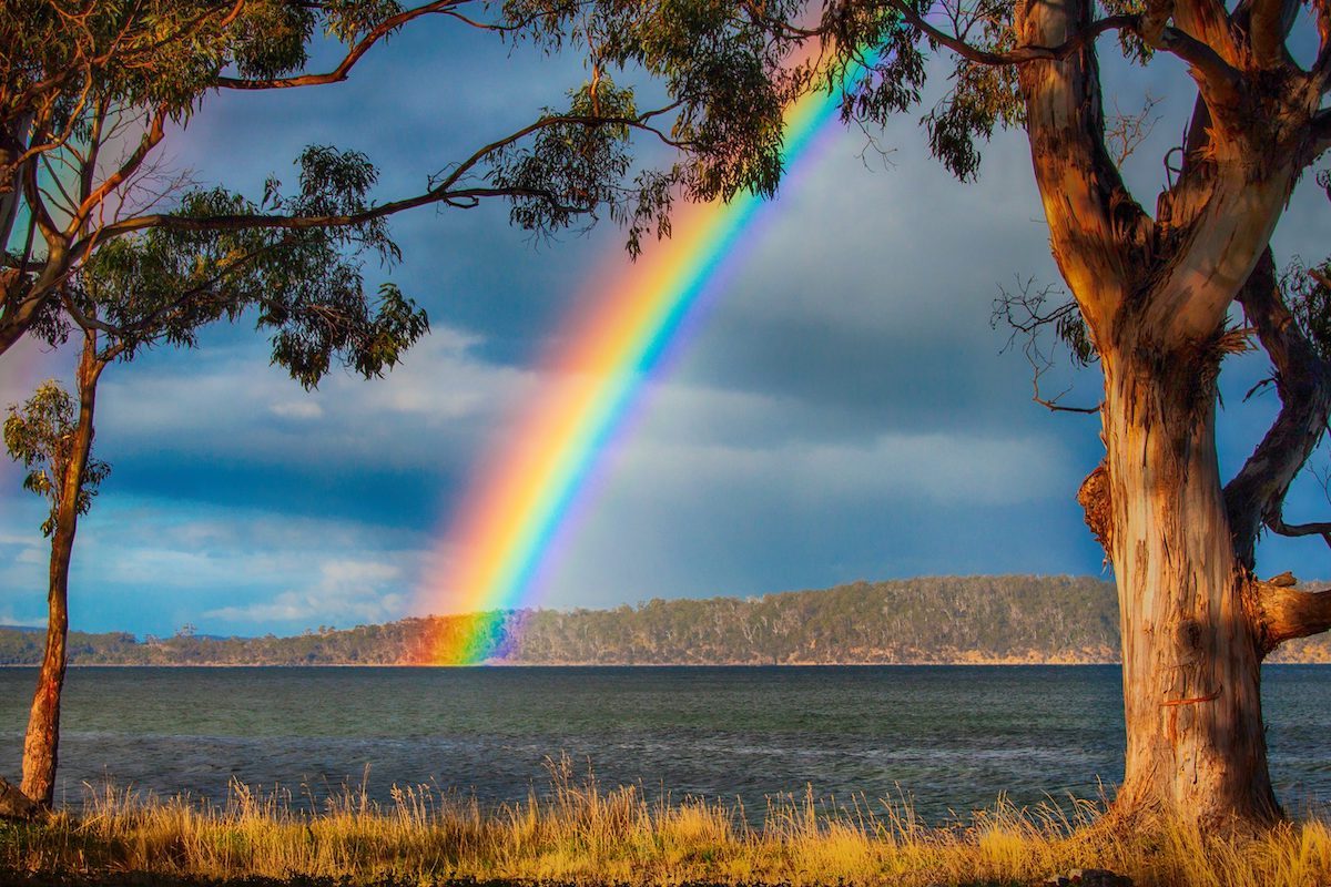 rainbow